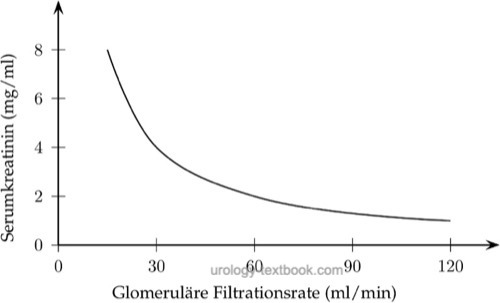 creatinine concentration in dependence of the glomerular filtration rate