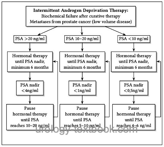 flow chart: intermittent androgen deprivation therapy (IAD) for prostate cancer