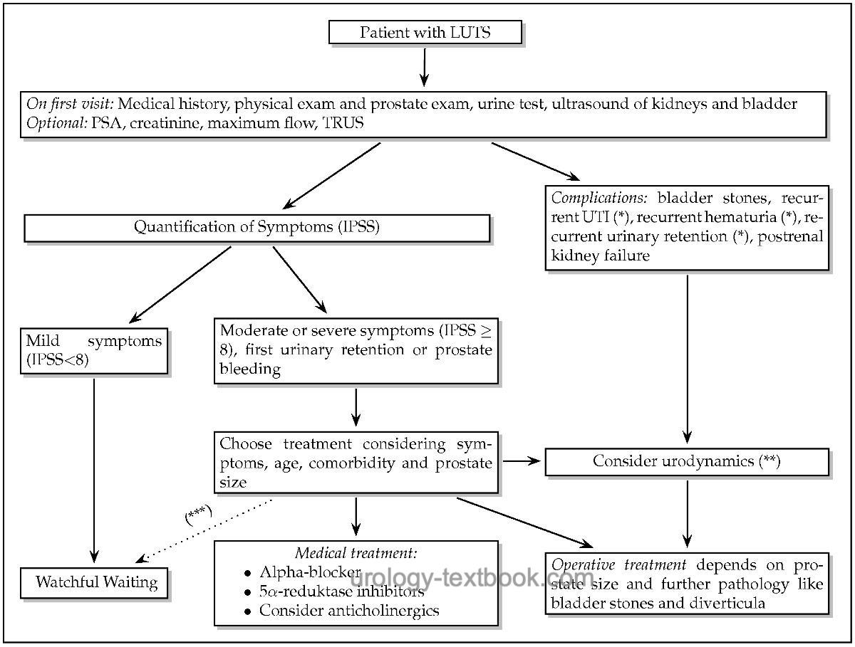 Fig. diagnostic workup of LUTS: algorithm for diagnosis and treatment of BPH at initial presentation, in accordance to the guidelines of AUA, DGU and EAU